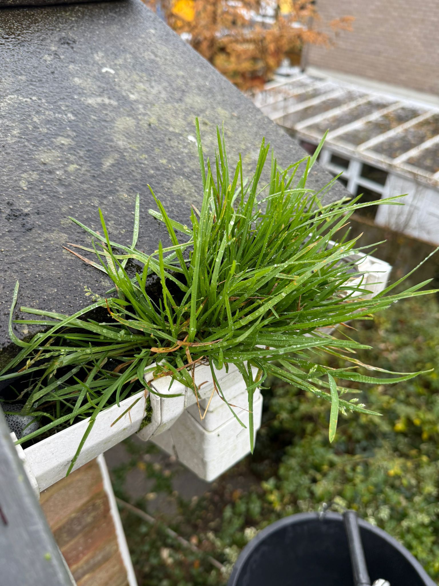 Blocked gutter downpipe in Chinnor